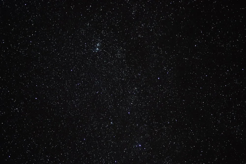 Restaurant Table Booking – Chef's Special (Restaurant & Hospitality)